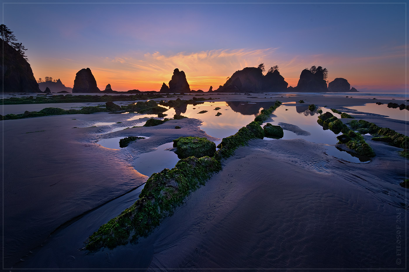 Shi Shi Beach and Point of the Arches