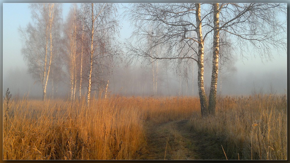 утро ноябрьское .....