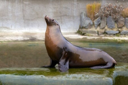 Я умею позировать