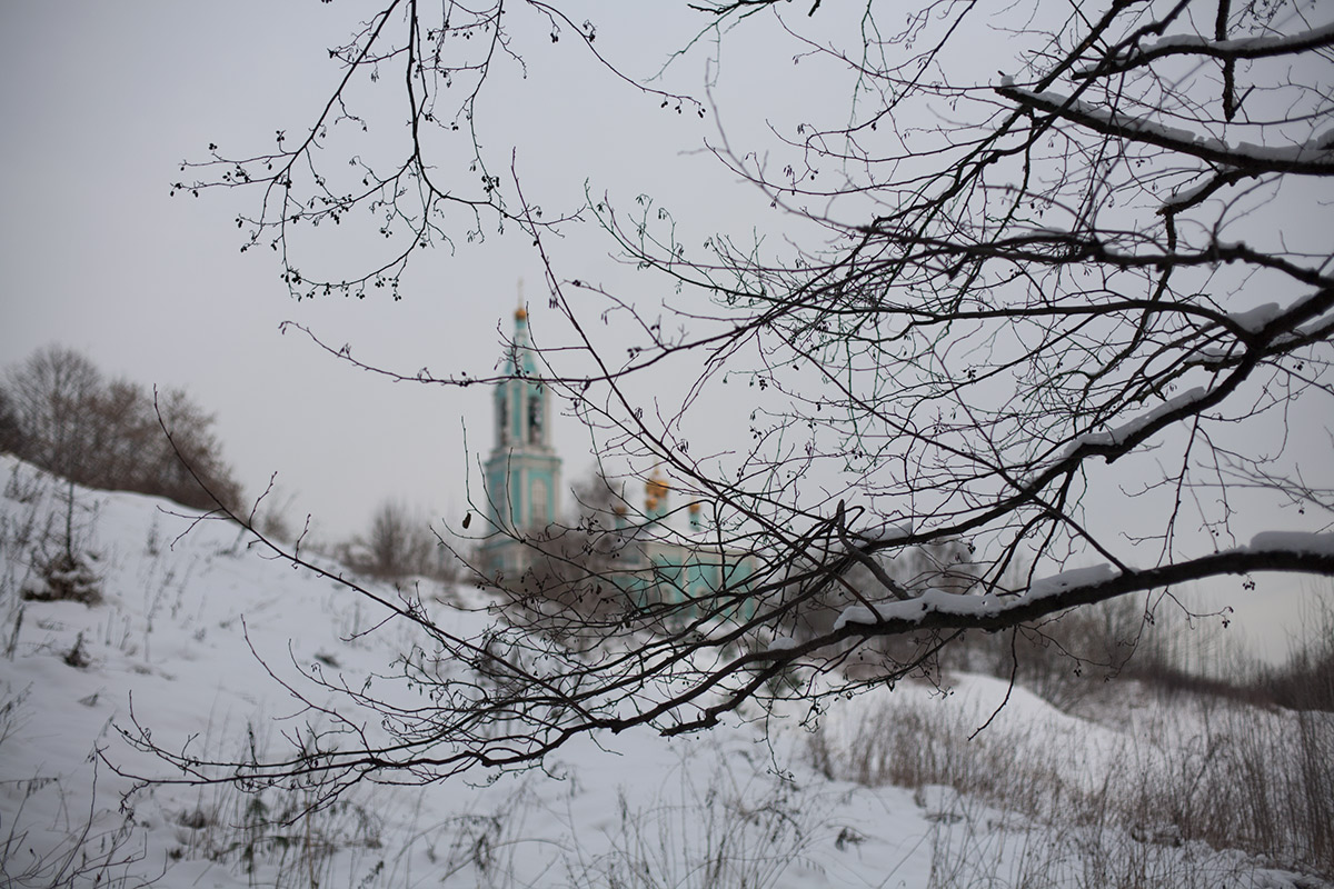 Зимний пейзаж с листиком