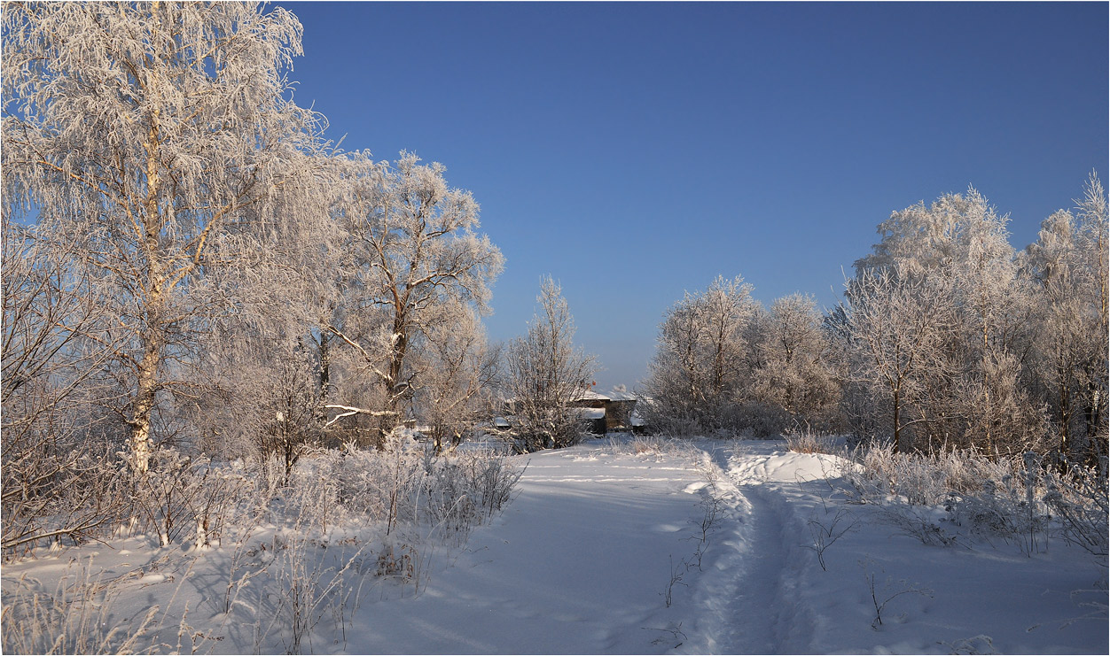 В снежном уборе