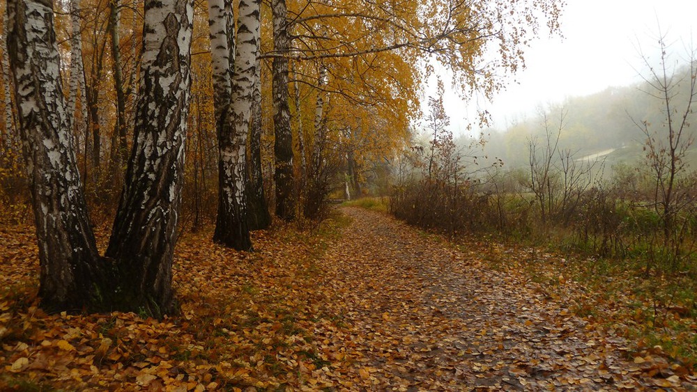 осенние прогулки