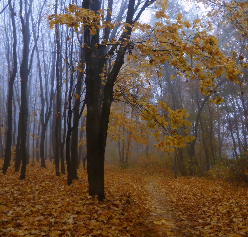 осенние прогулки