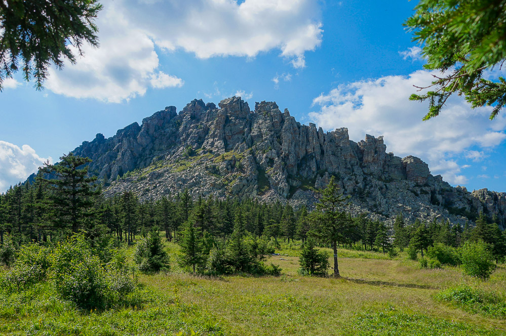 Откликной гребень