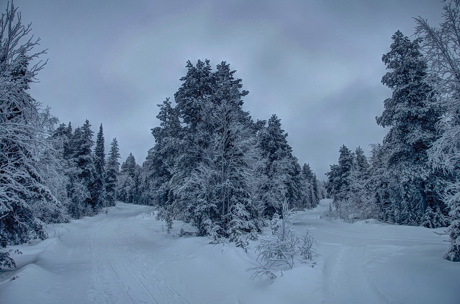 Развилка