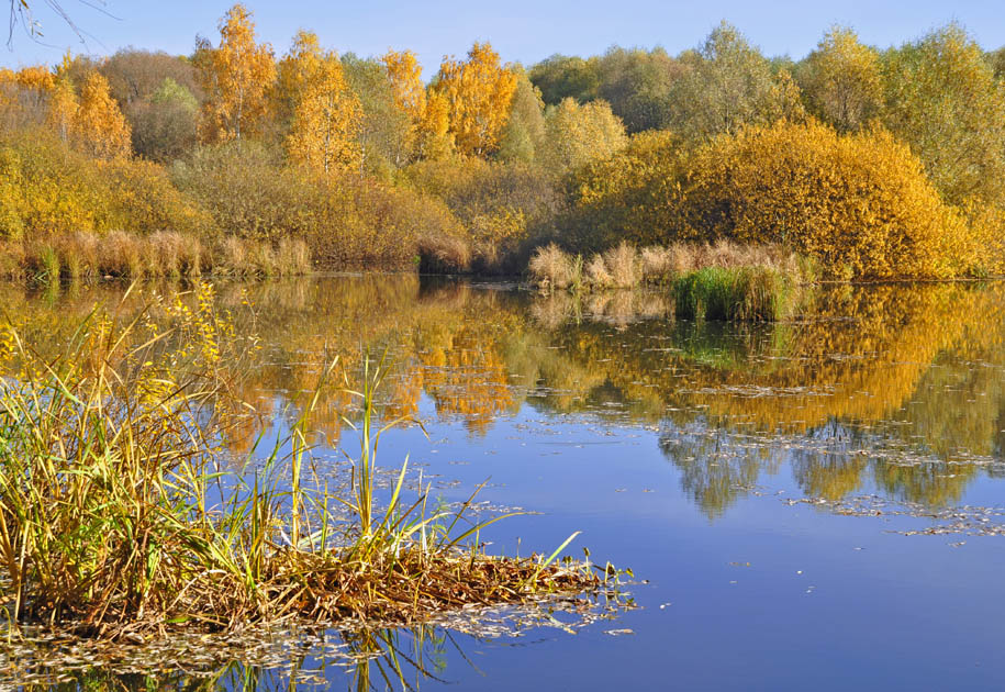 Краски осени