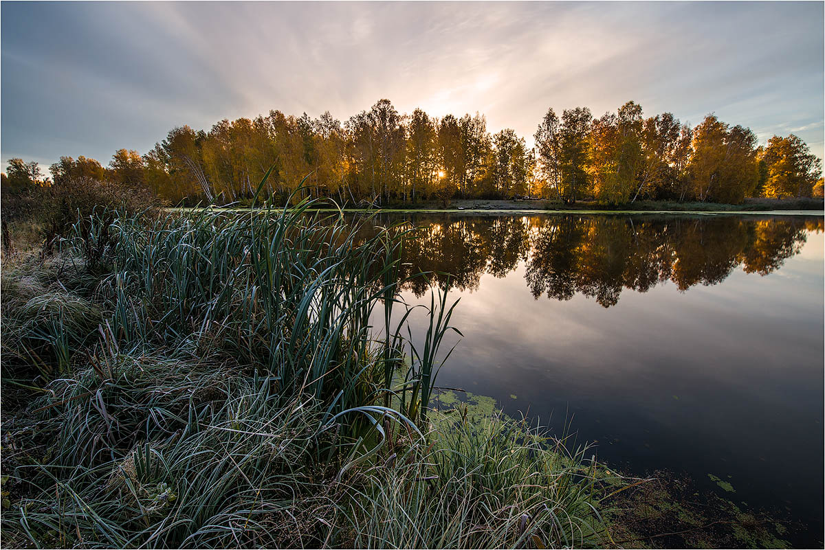 Осеннее утро