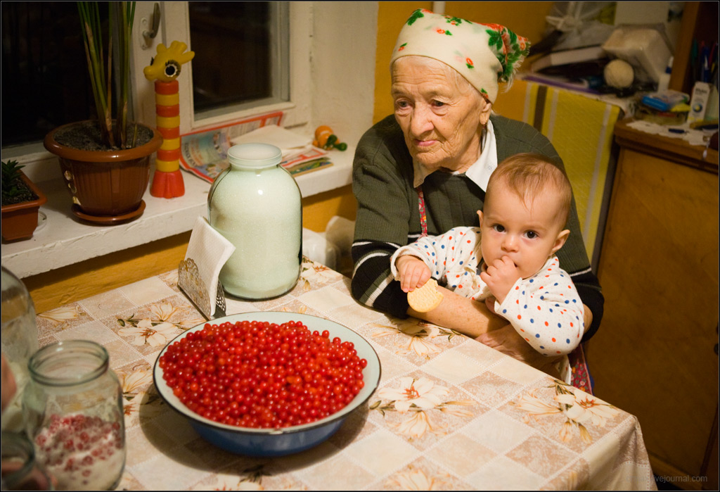 Фотография с калиной