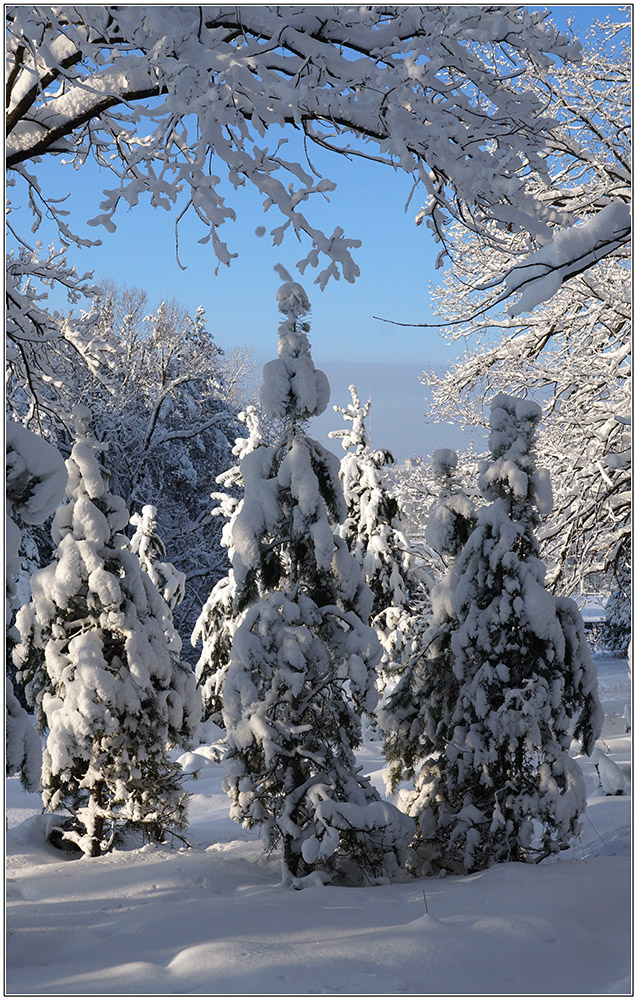 С Новым годом!!