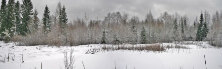 Зимняя панорамка.