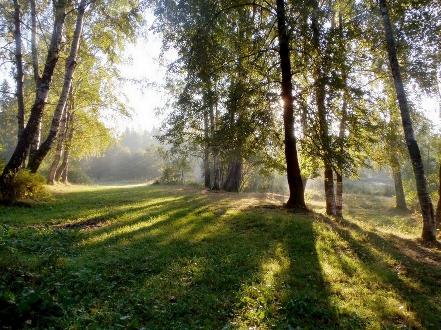 Осеннее утро. Октябрь