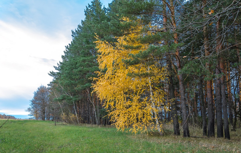 осень,вечер