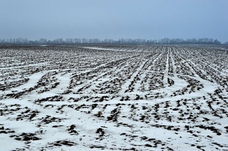 Зимнее поле