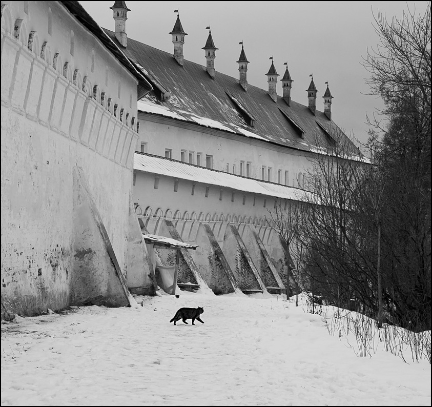  В Звенигороде