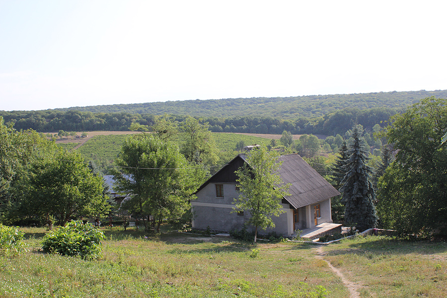 Село Hincu