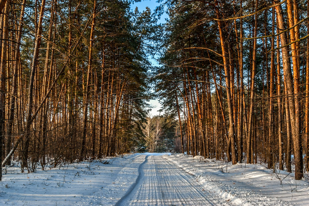 зимняя дорога