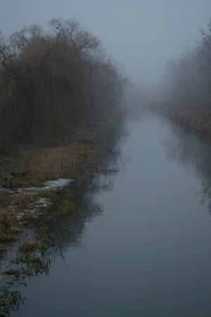 &amp;quot;Зимы ждала, ждала природа...&amp;quot;