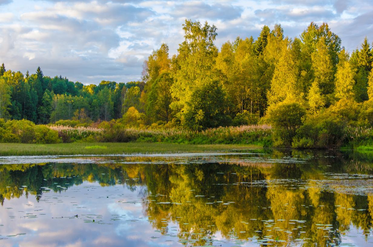 Осеннее утро