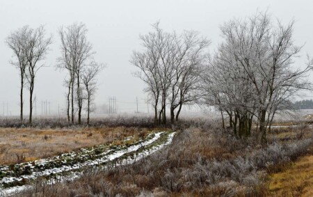 Полевая дорога