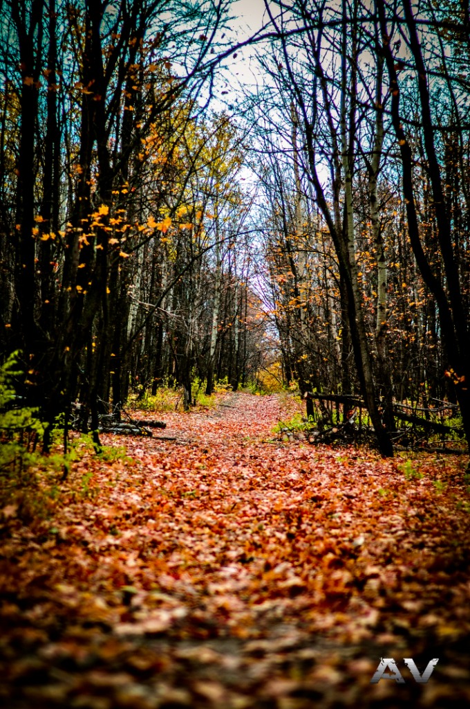 осень