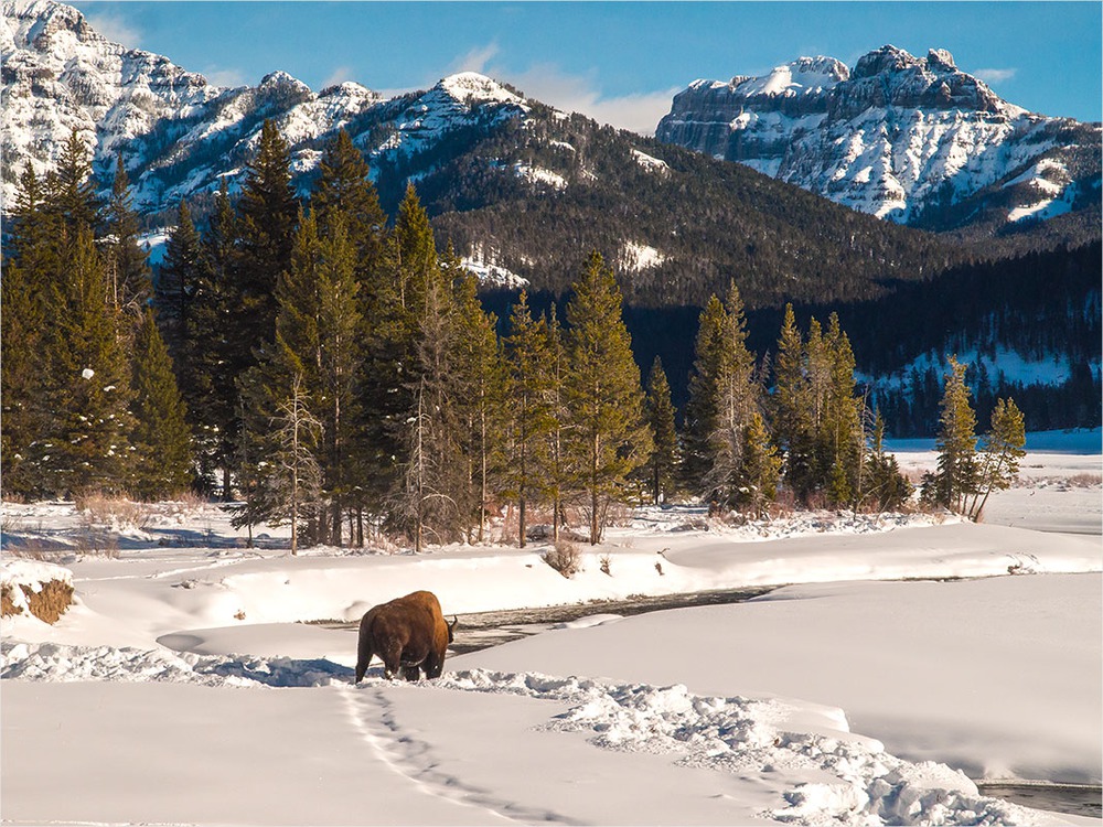 Lamar Valley