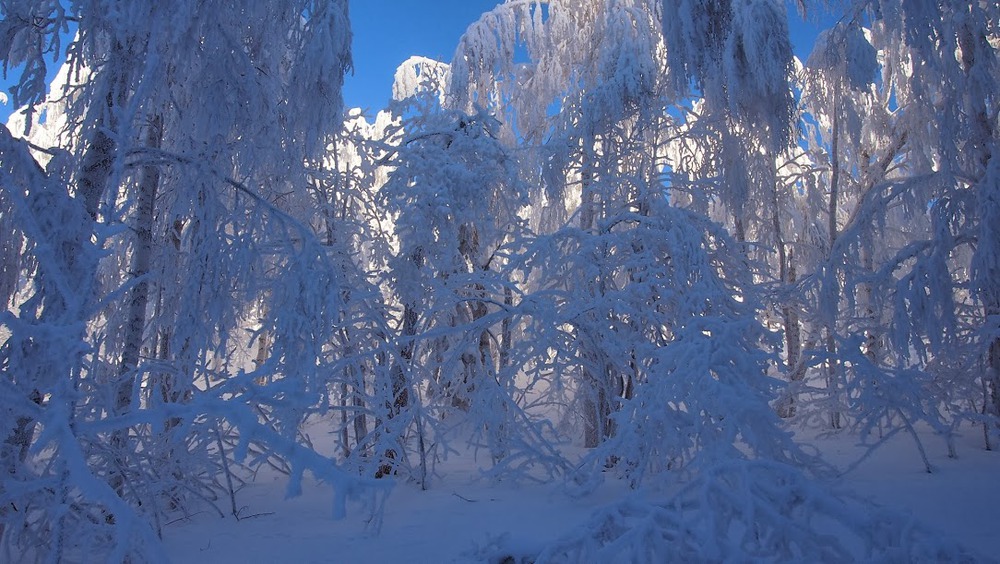 Снежные кружева