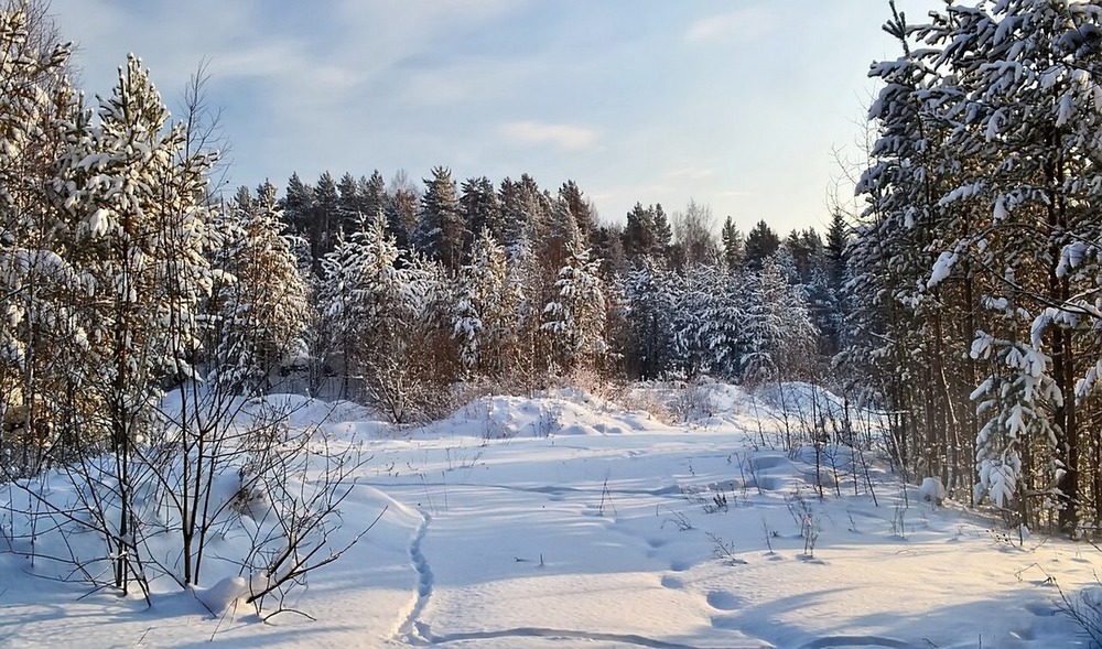 Зимняя зарисовка