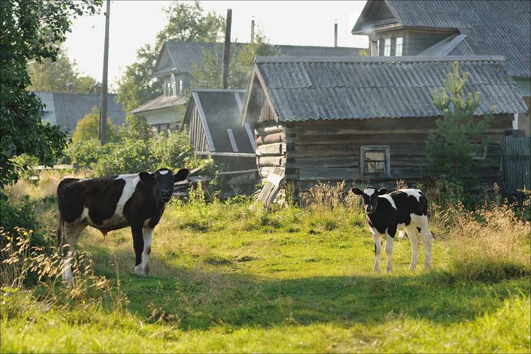 У баньки