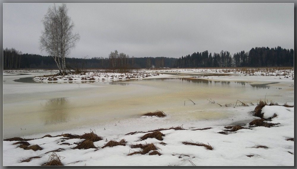 Январь 2014 г...