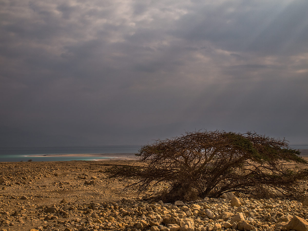 The Dead Sea, Israel