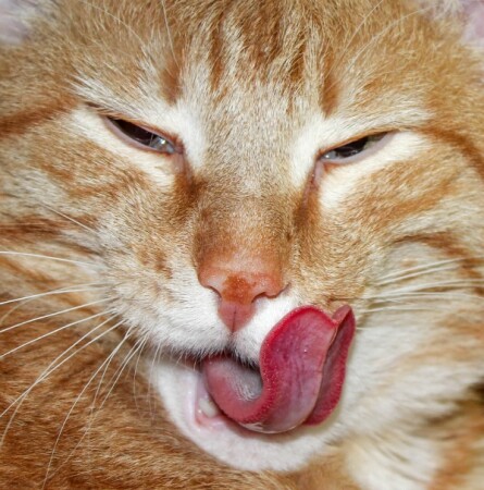 Ну, иди, иди сюда ...