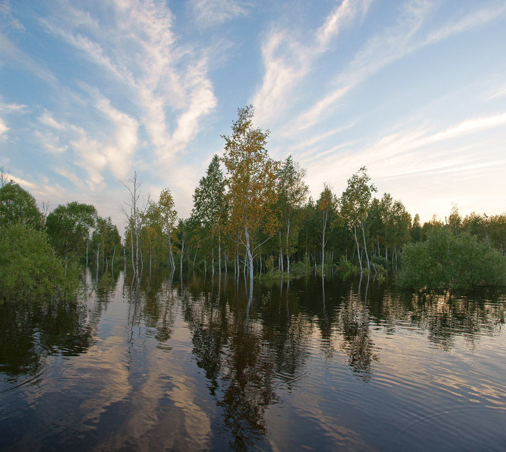 Большая вода