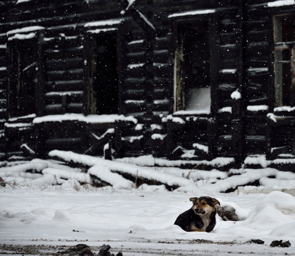 Погорелец