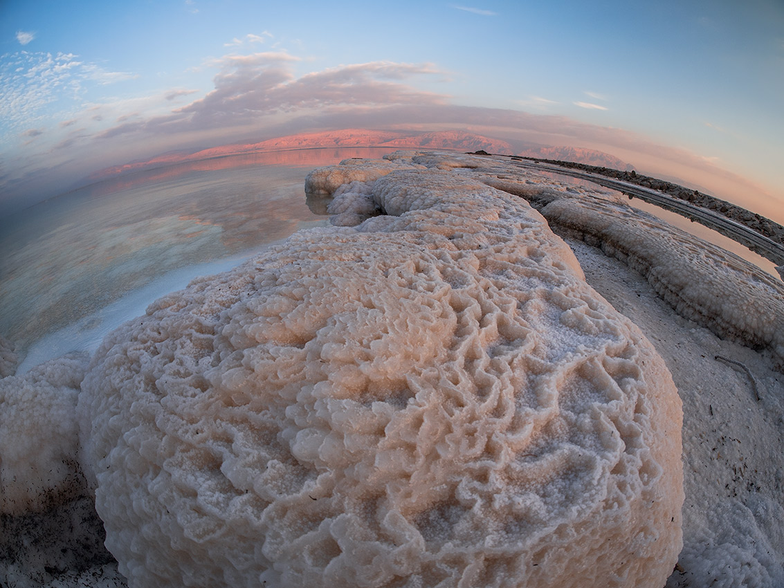 The Dead Sea