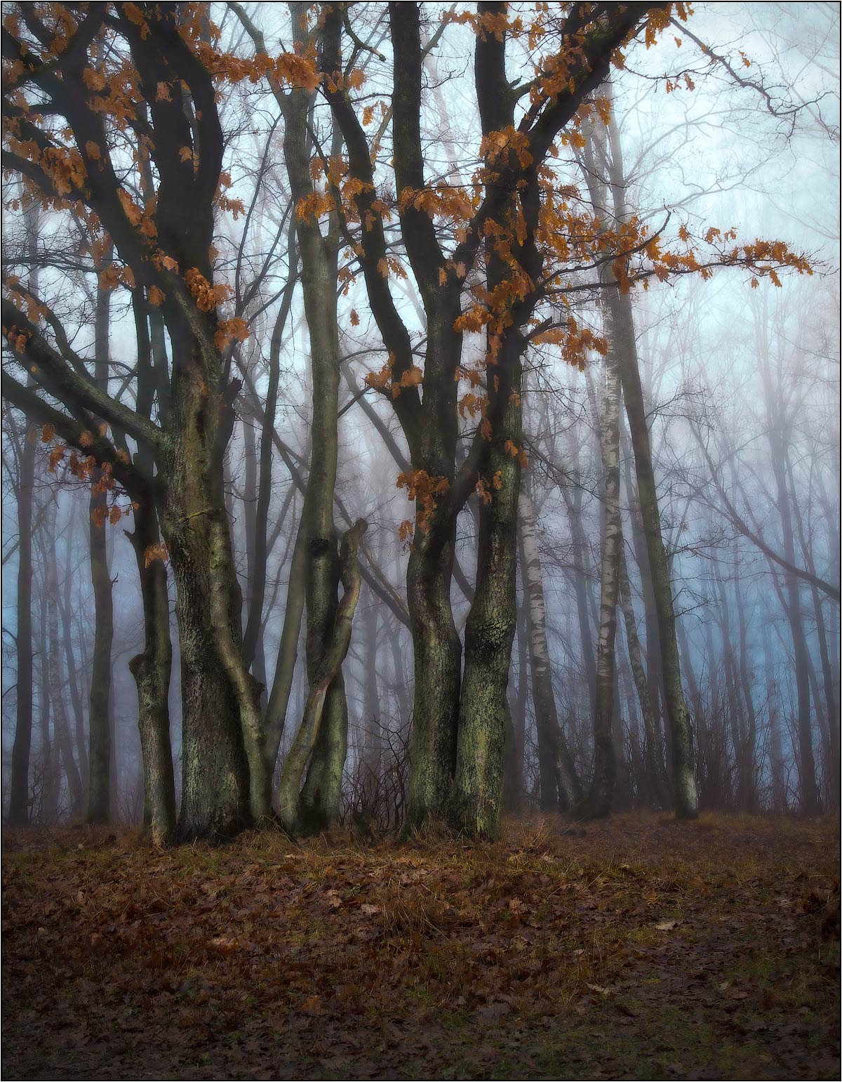 ОсеНь в январе