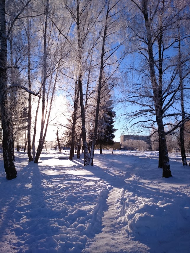 зимний городок