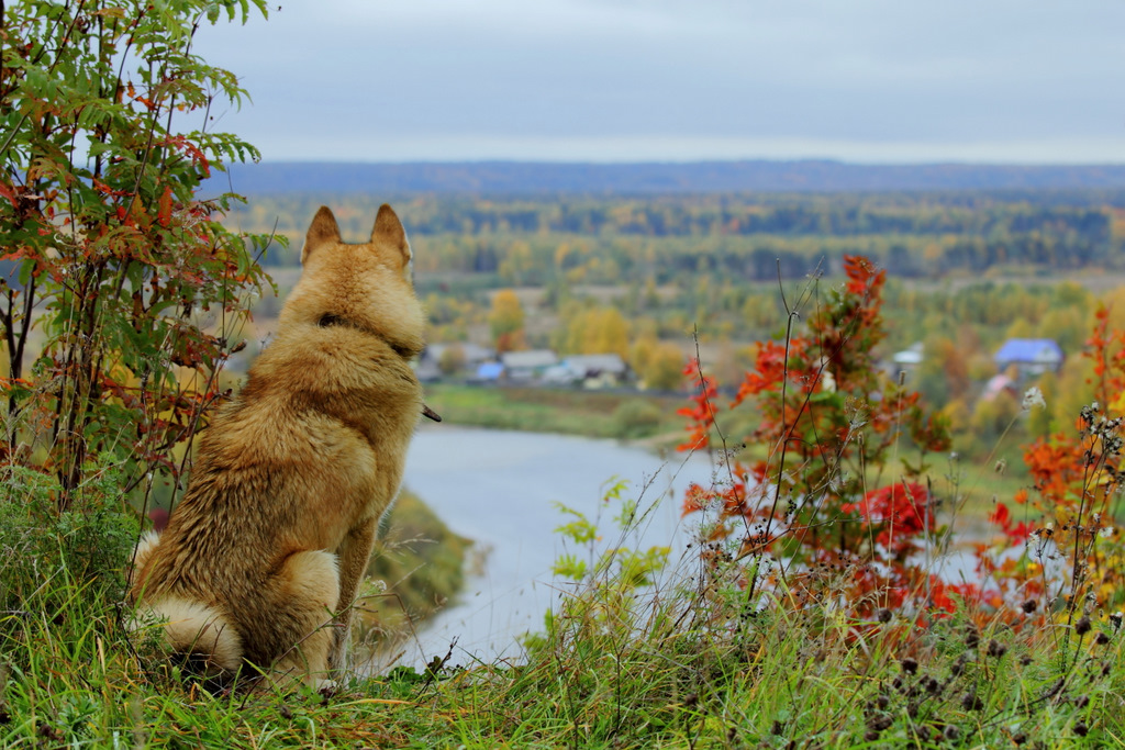 Чак и осень