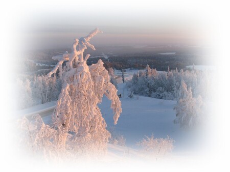 Узоров снежные причуды