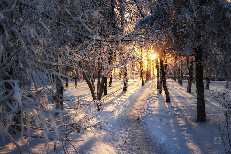 Морозное утро