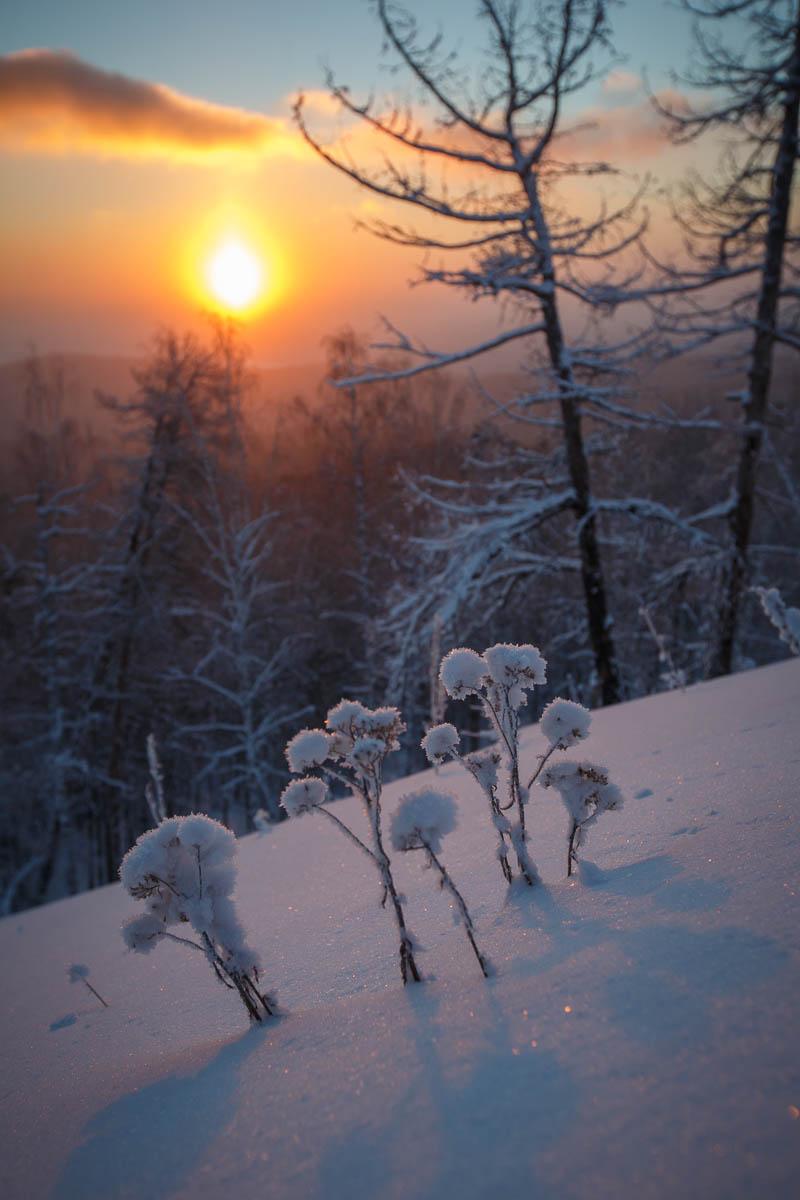 Мороз и солнце.