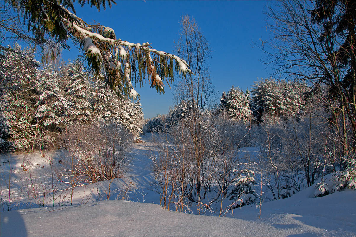 Морозный покой