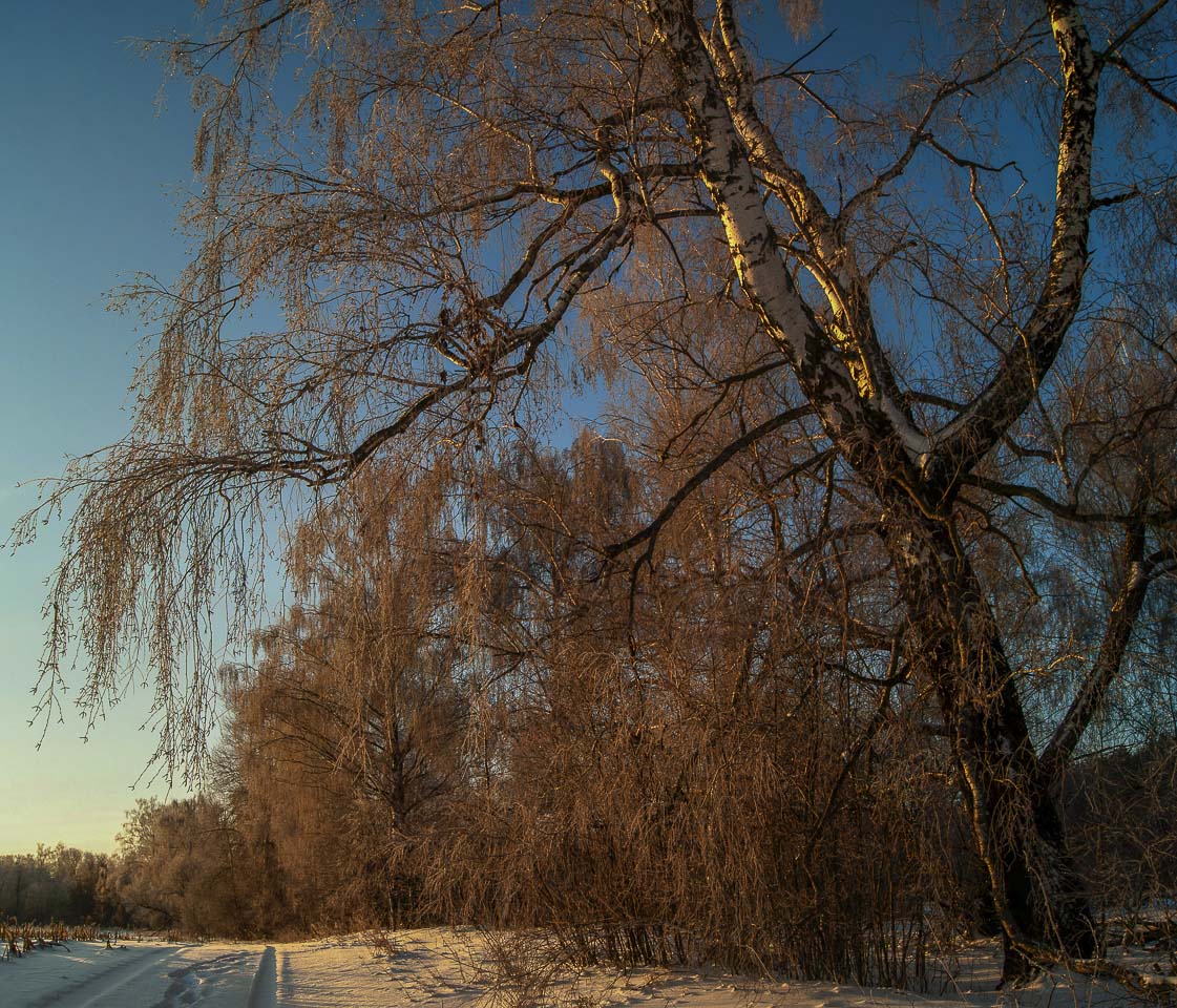 морозное утро