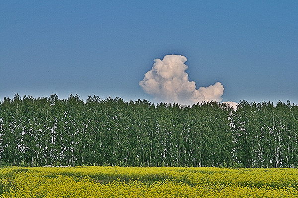 люди в облаках