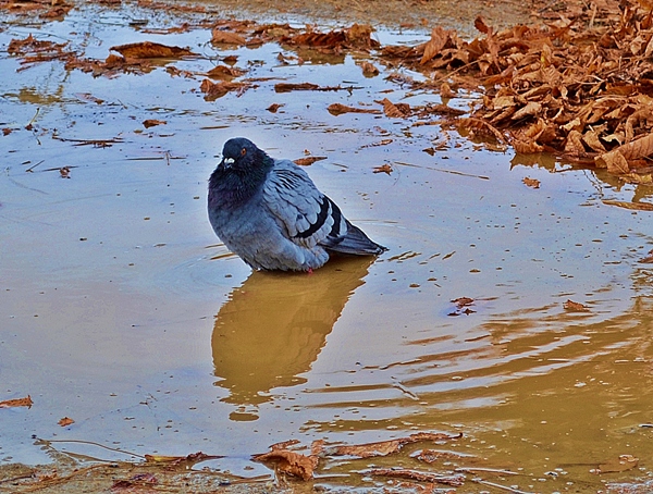 водные процедуры