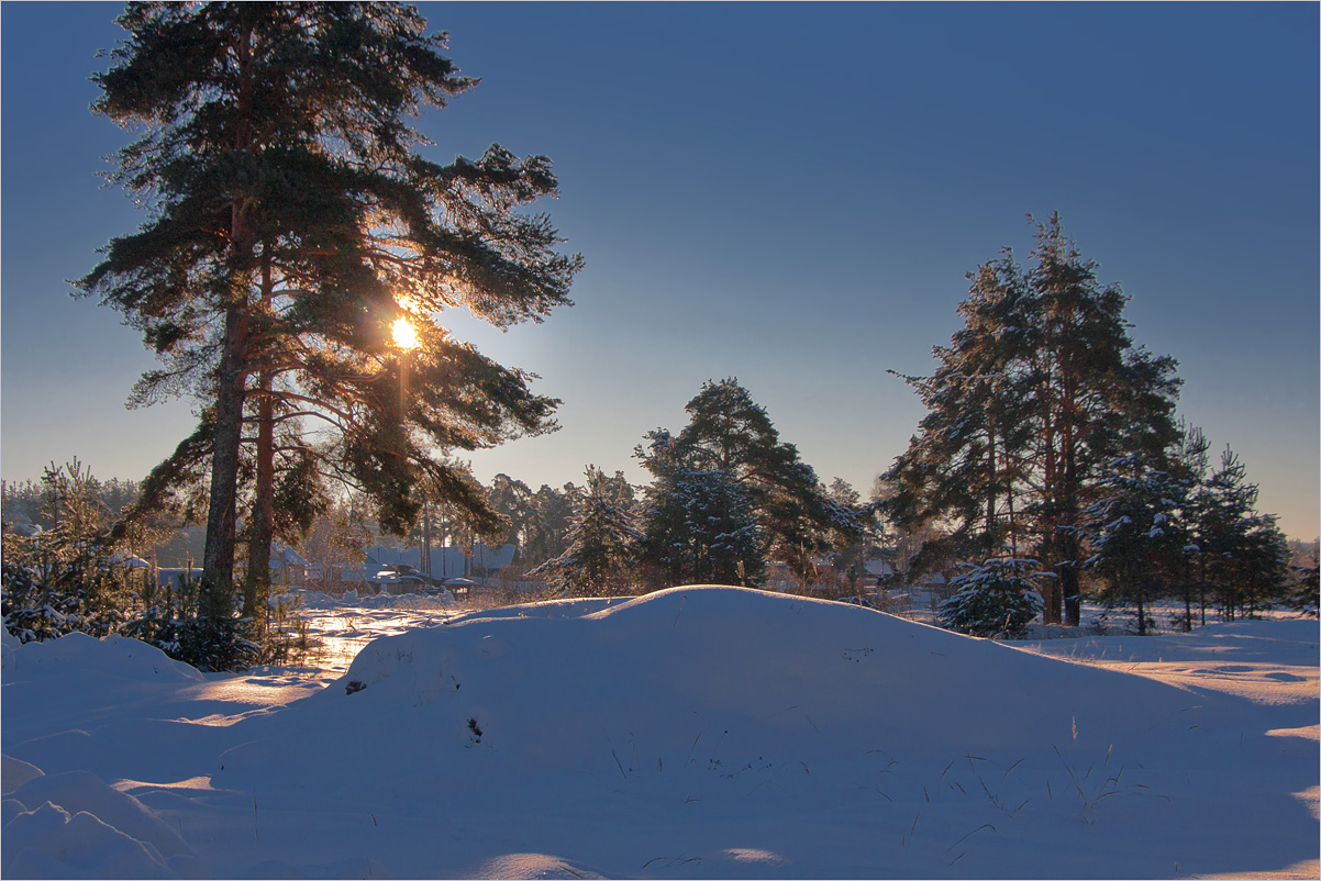 Прогулка в январе