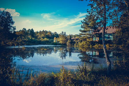 Дом у пруда