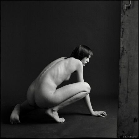 Анастасия. 2008