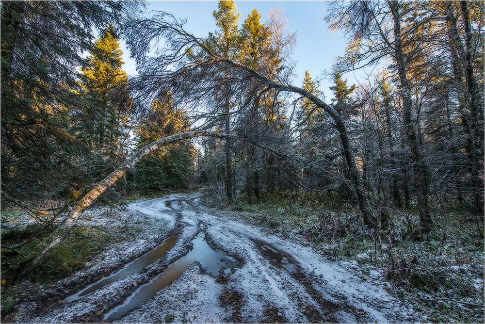 Соседи