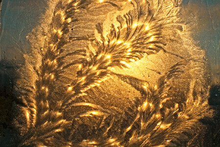 &amp;quot;Золото дендритов&amp;quot;.