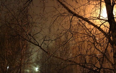ФЕВРАЛЬ. НОЧЬ. ОТТЕПЕЛЬ..